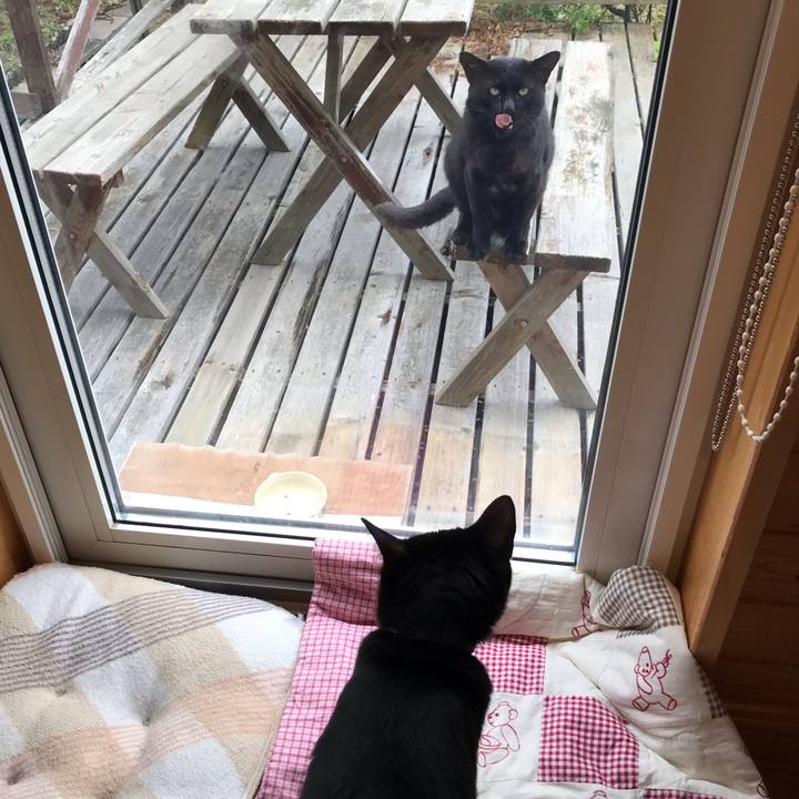 6ce3e753 e513 4d70 8f0f 615c9effe93a 1598015631387