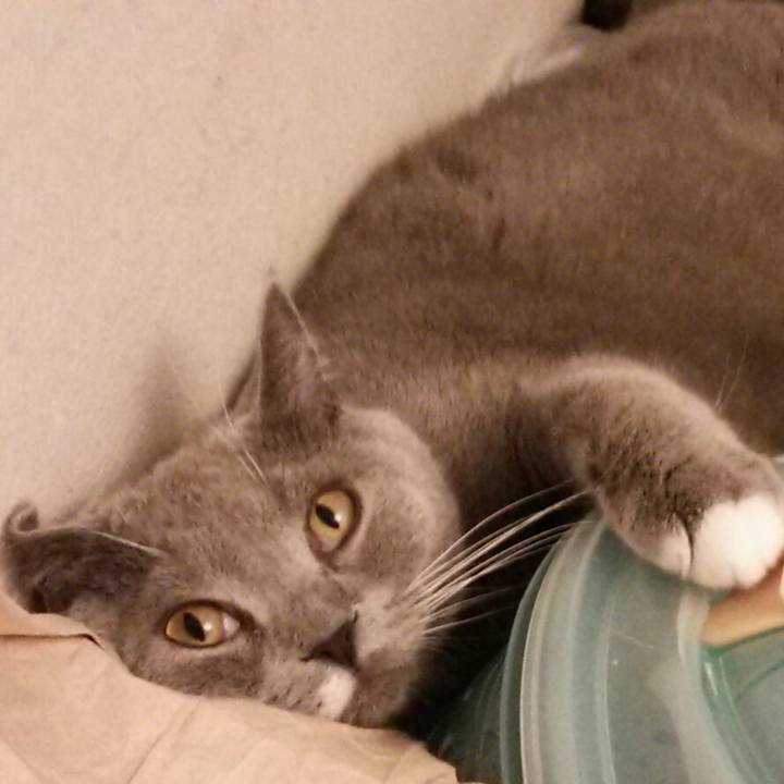 6ce3f1f9 2372 47d5 90f6 42812d7f3715 1555815041568