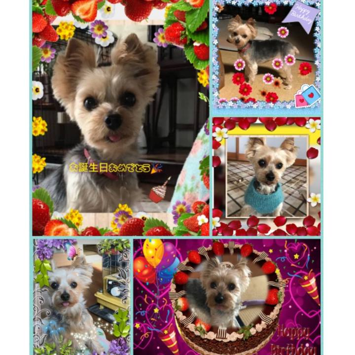 6ce441c0 8788 4877 a338 ddbb04d0f33f 1550415837783