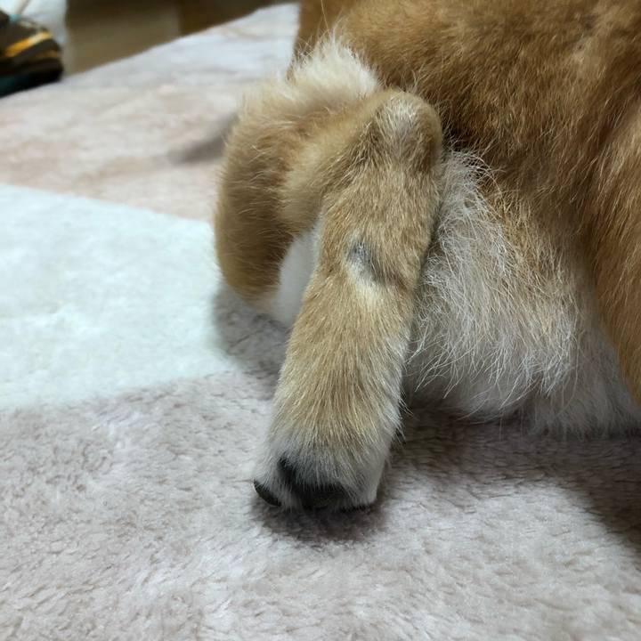 6ce47072 26bc 4b14 afdf 2584feb78eb0 1586524395204