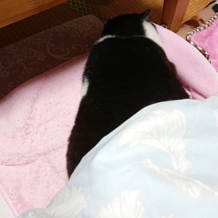 6ce48bf8 b458 4c09 b8c6 fc383bbe5b13 1634711870682