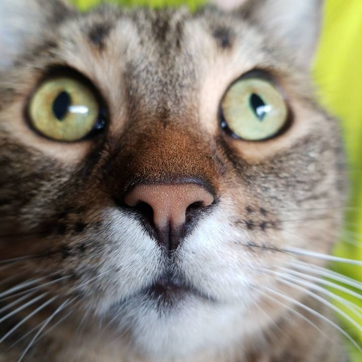 6ce503fd c9a4 4afb b3a0 c6b1ee460921 1595635494041