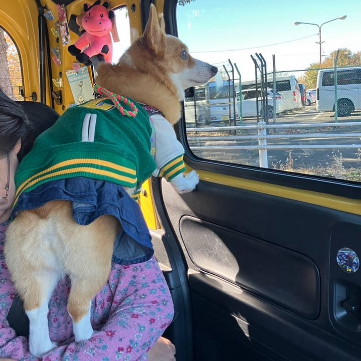 6ce555a0 7052 48f7 b626 bd331aeb1eeb 1765078148331