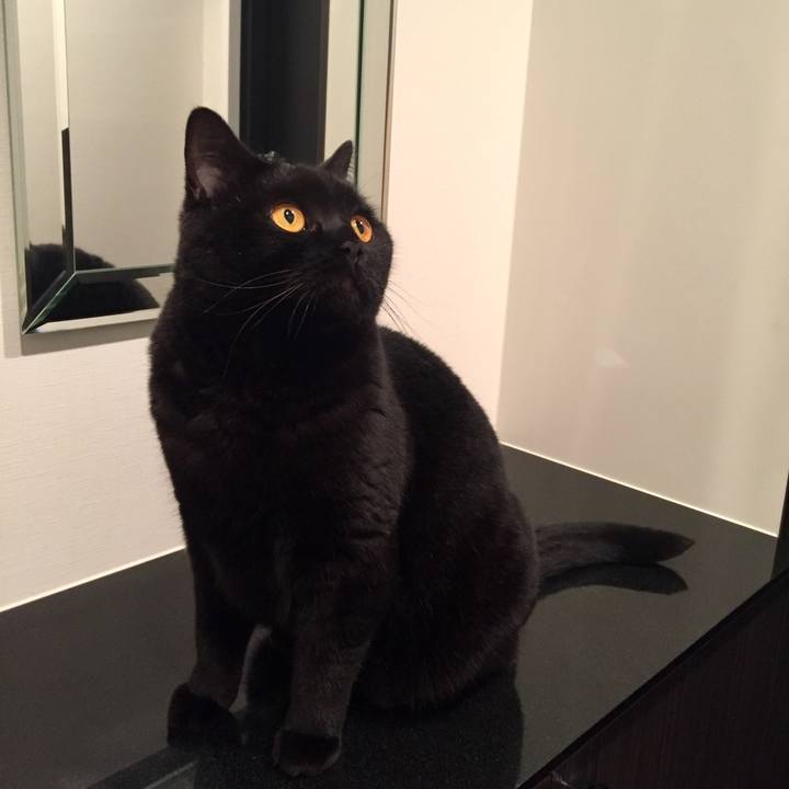 6ce55994 33a8 42bd 985a 41ba61ca66c2 1558955839534