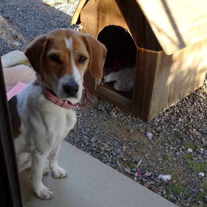 6ce55f50 14a5 424d 97bd 1603ff820dc0 1578726838054