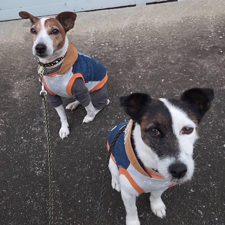 6ce566af d8f7 4ad1 a94e 3ab5def6b405 1768086003346