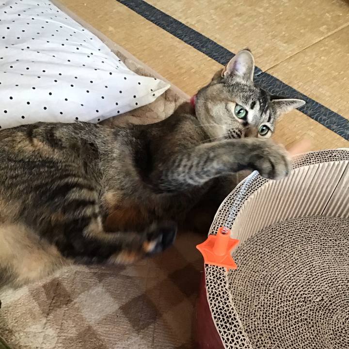 6ce5dbcb 3630 4c09 a97c 90e52e097007 1607217526393