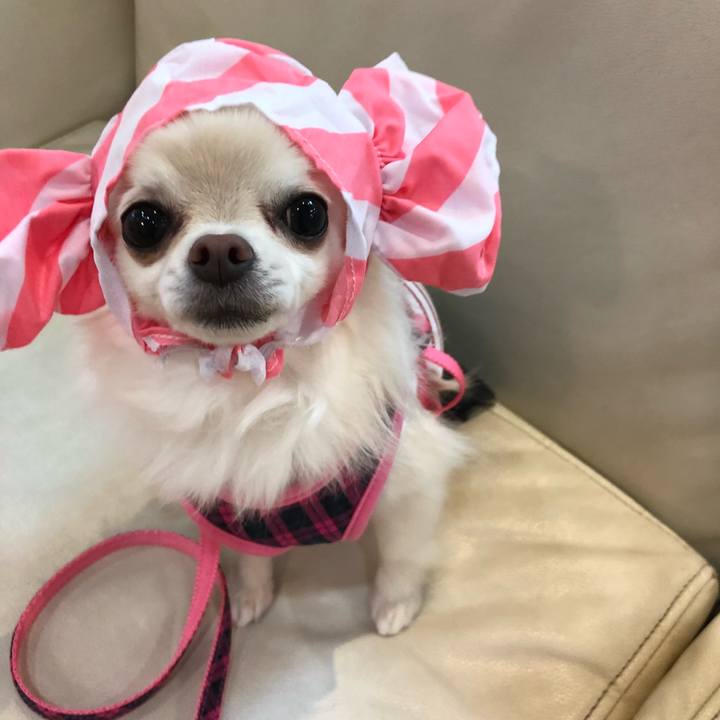 6ce5f570 bf8c 4601 960a 897c722ea019 1527422328215