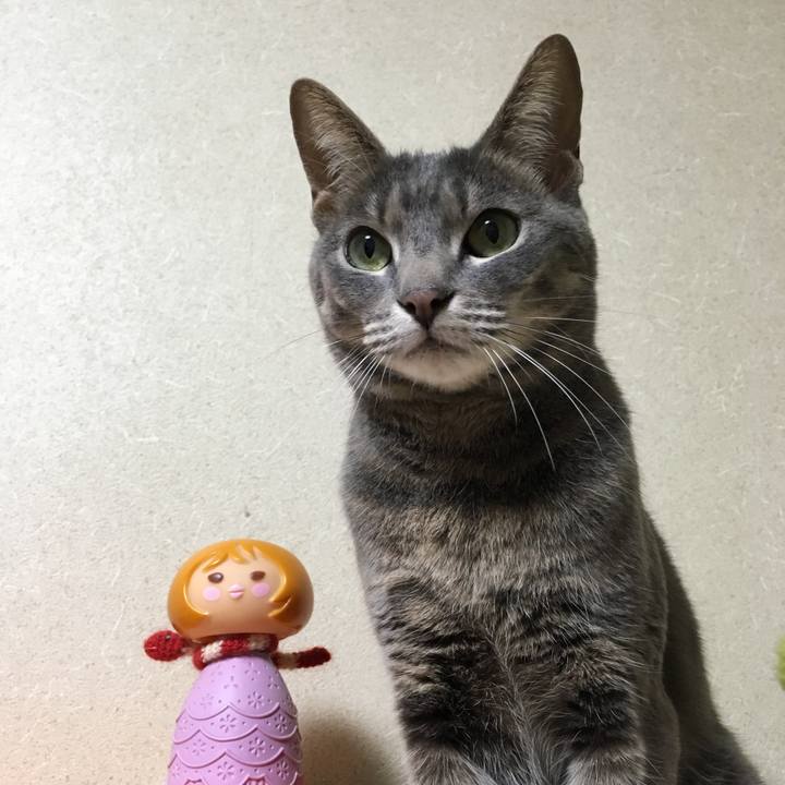 6ce61dec e75f 43c6 8967 a755387dc129 1521883933515