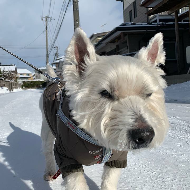 6ce64fda 2ce8 46f3 8877 1fe50d320422 1640945446266