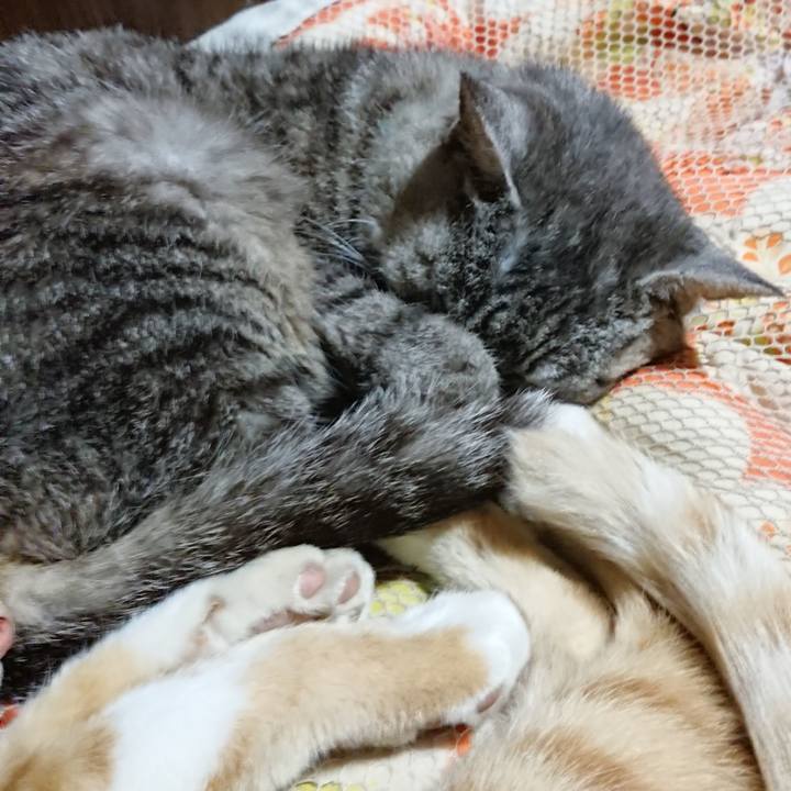 6ce657c0 1a37 40d6 8e61 82b2d6940b8f 1568985039939