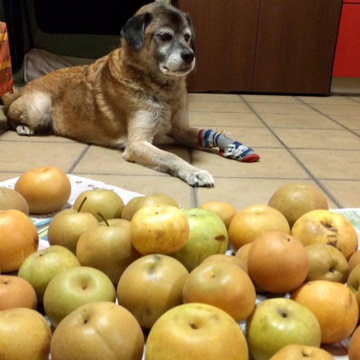 6ce65c36 61a0 45ab a80c f10a01c8f9a2 1535292897565