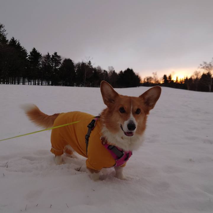 6ce689b5 4ff2 421a 9c11 63de51e927d9 1764804504006