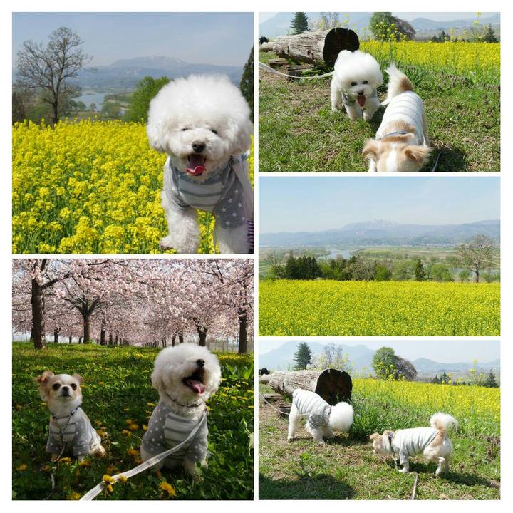 6ce6a622 3d9b 4a2b b86e 92b5ba752018 1524728690915