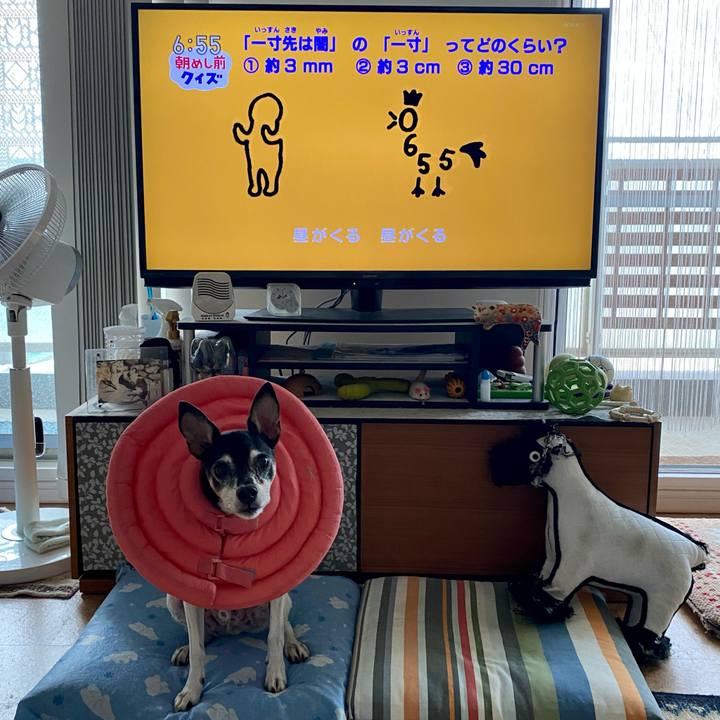 6ce6acd2 f13c 4eb1 a1fd dea2dcf280b3 1632866949678