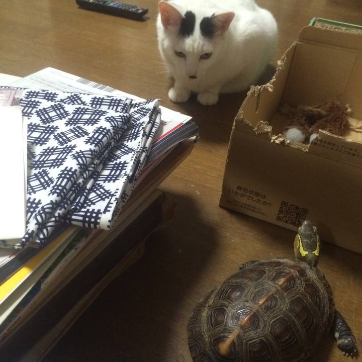 6ce6ae1c c188 4225 bba6 72ae846065e0 1507694092660