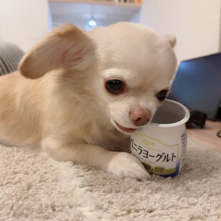 6ce6bbbe bac3 43e4 b8a5 8c624cc30016 1730624989198