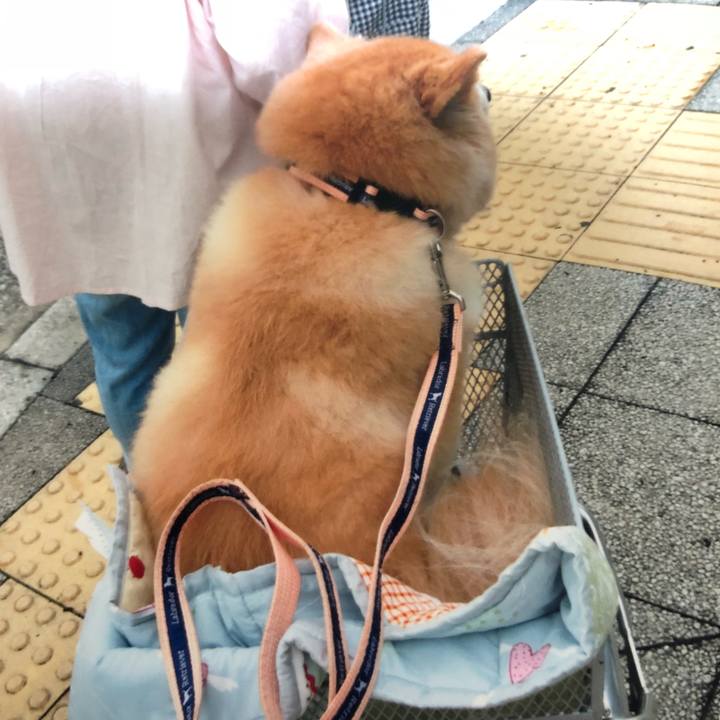 6ce71b34 f791 4ebe 803f 73838aa8bc14 1515238223831