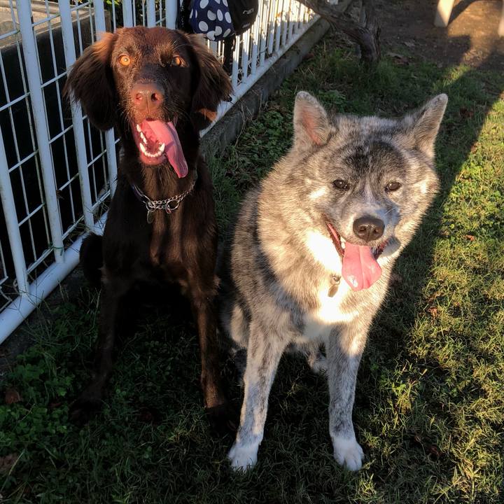 6ce7342c 3337 4ae8 ba6f 744dbf05738f 1570975334132