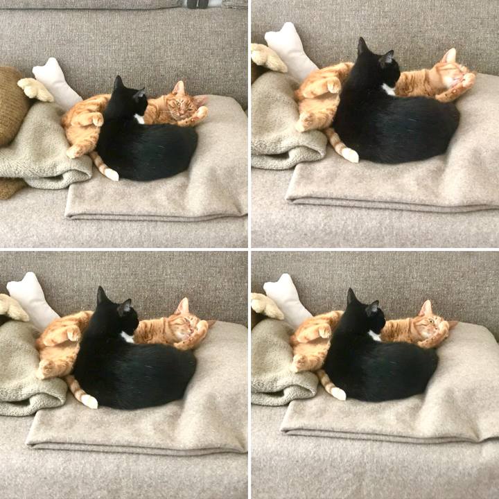 6ce75856 e383 4a88 b9c6 985ea674a9a9 1515223395579