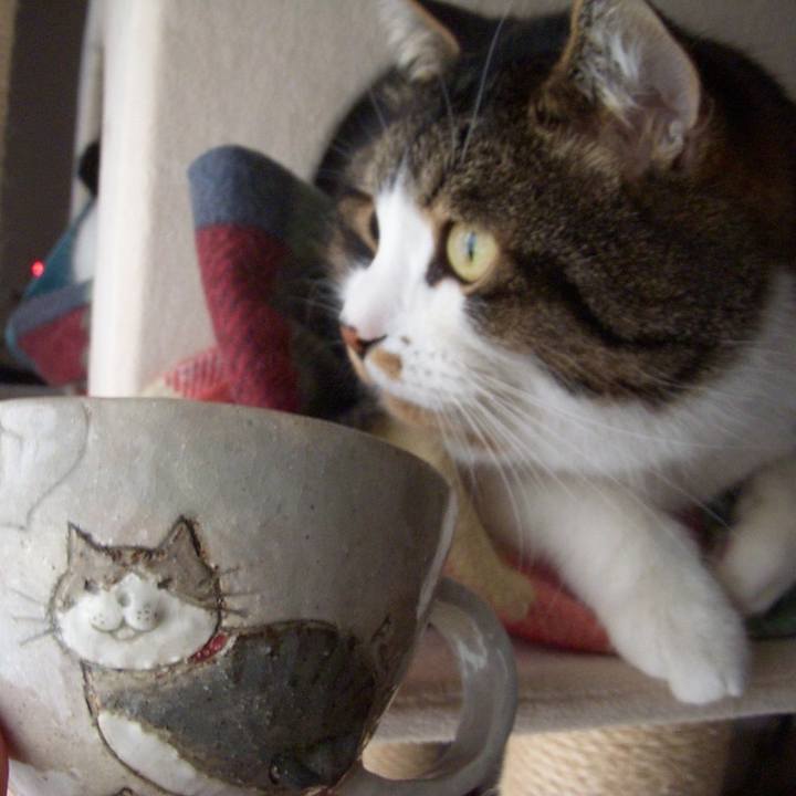 6ce77c1b a2ea 448e bb4d c2fbb47ff4a8 1516409534514