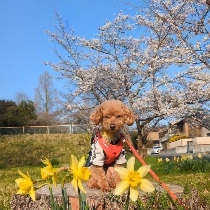 6ce7952b 940f 4b8a 9570 b4c08410f87b 1774656293123