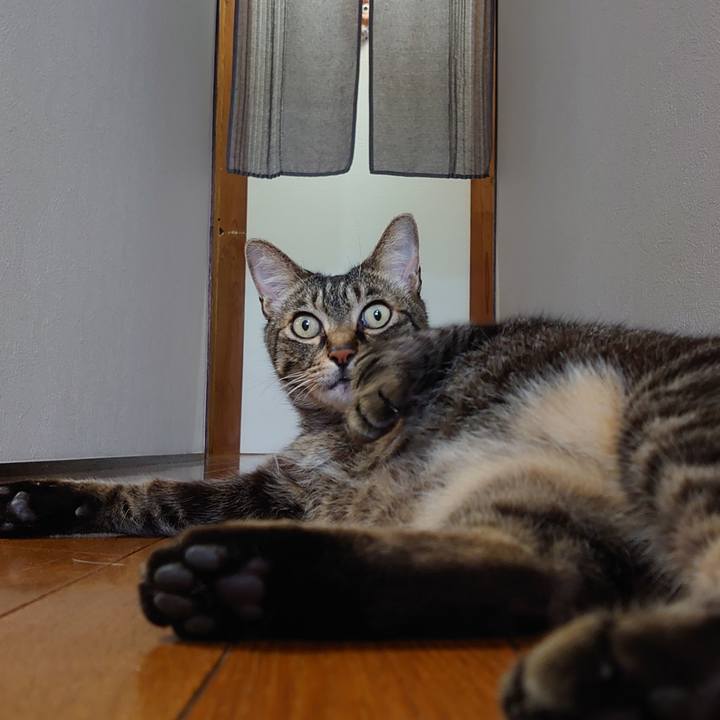 6ce7bff4 974c 433e a466 a39c3ee960bc 1689326549968