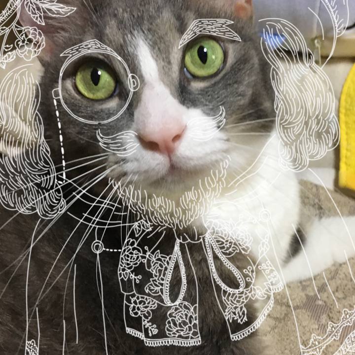 6ce7c024 b676 45dc 99c3 112f811bc51d 1577102159188