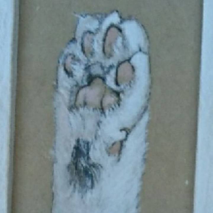 6ce7e7d9 fabd 46f6 8fbf 51a1cd2be5e2 1528977619611