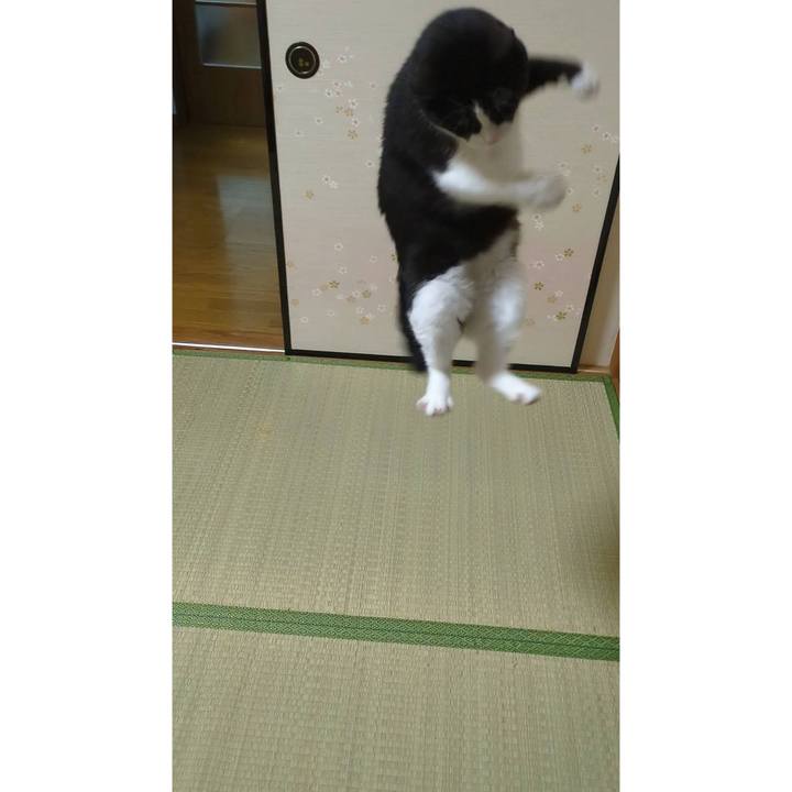 6ce81971 18f0 44a6 b548 bc2ca2a779dc 1687493381520