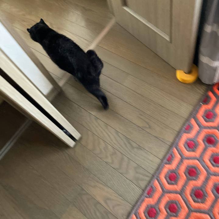 6ce85395 53b0 464d 9697 d4f9ccb12370 1601618862563