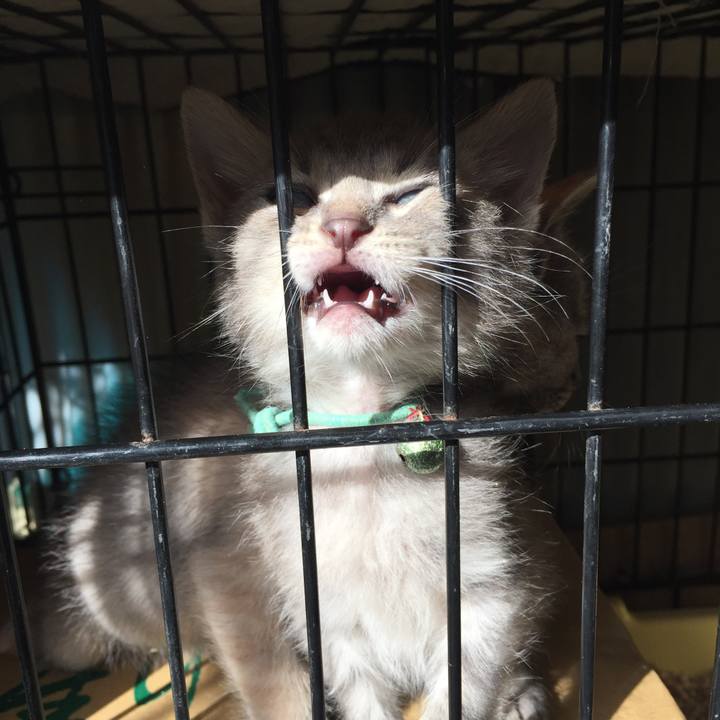 6ce87744 ddc1 46ca 88f0 d25ab5779ab3 1571963613227