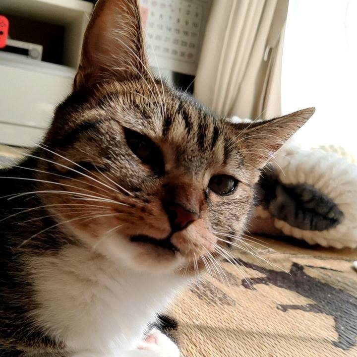 6ce877b2 2cdb 4382 9d0c 1f52d6207198 1664245950637