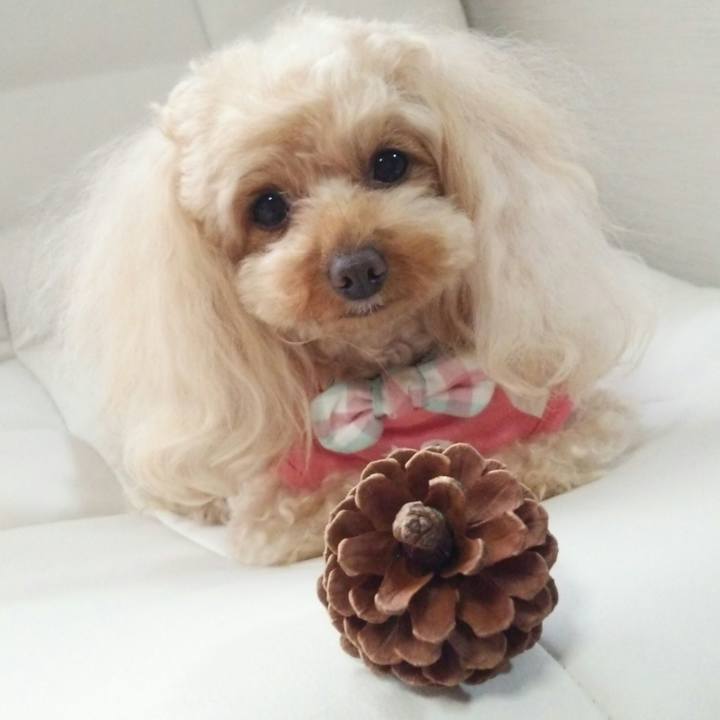 6ce87d5a 6aa4 428d b8f8 d3c3bf76613b 1522753285615