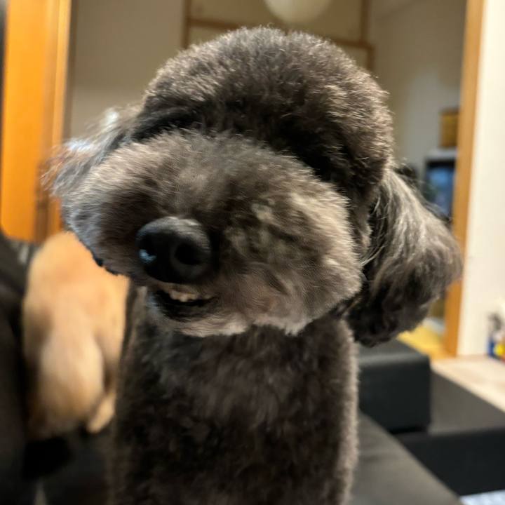 6ce8f5ae 5d03 48a5 a579 7eaa0c8fa155 1723284985729