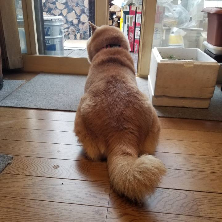 6ce8fdd1 7dd0 4183 a2ae 46db5a6b340f 1741648984020