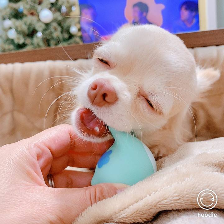 6ce8ffeb 9fb0 46d8 aa6d 65c24962f8ad 1608792962462