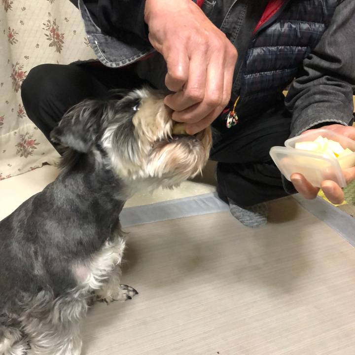 6ce97a69 6739 4e1c 8ad8 78b9eae84a3a 1614257079920