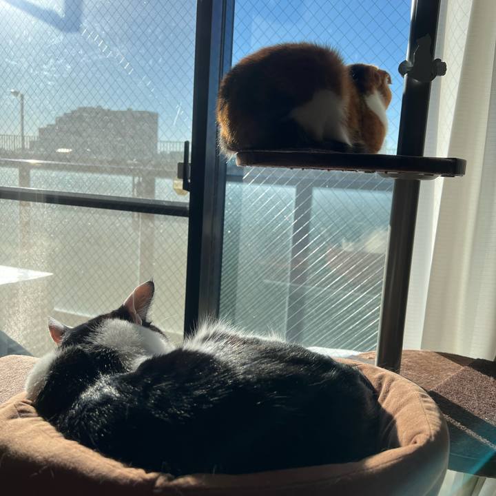 6ce99780 1446 4e41 9e3e ac3feac87bed 1671868558183