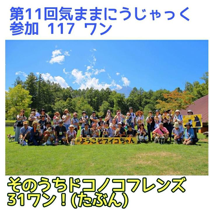 6ce9b50e c953 44a9 a295 e68871e9e726 1535427389371