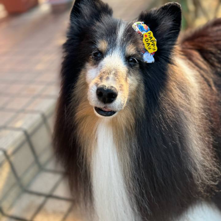 6ce9c716 c61b 45ce a3c3 9da070385495 1763401952421