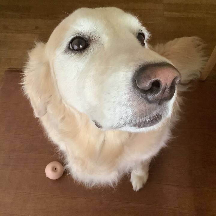 6cea50dc 5669 4c98 a452 afa5472ee71d 1600919175167