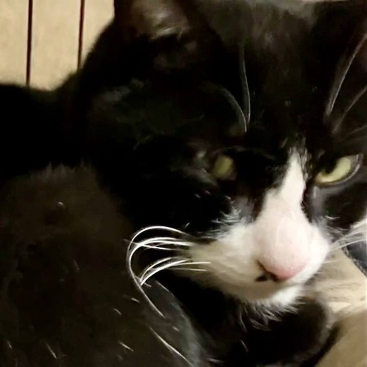 6cea76c5 d21d 4c7a 97cf 82e67d231e98 1736241534829