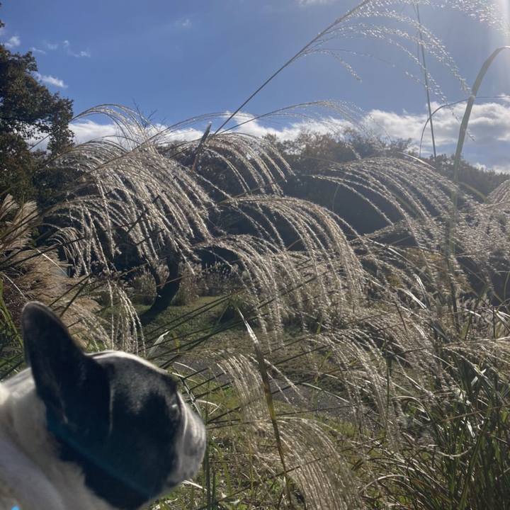 6cea8175 9b8c 4c2a afad 4fc8bc079d04 1637679024222