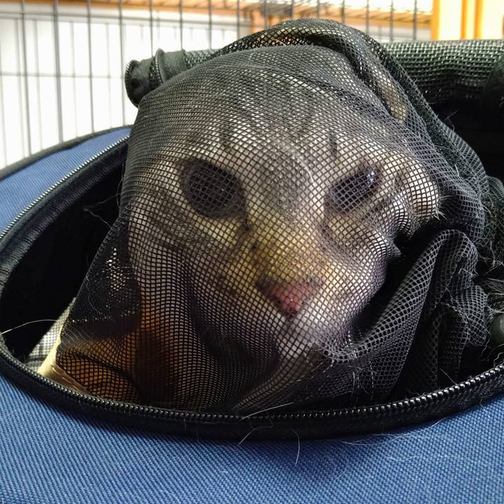 6ceab3aa 69a5 4688 95c2 60f5ff88c972 1625644284291