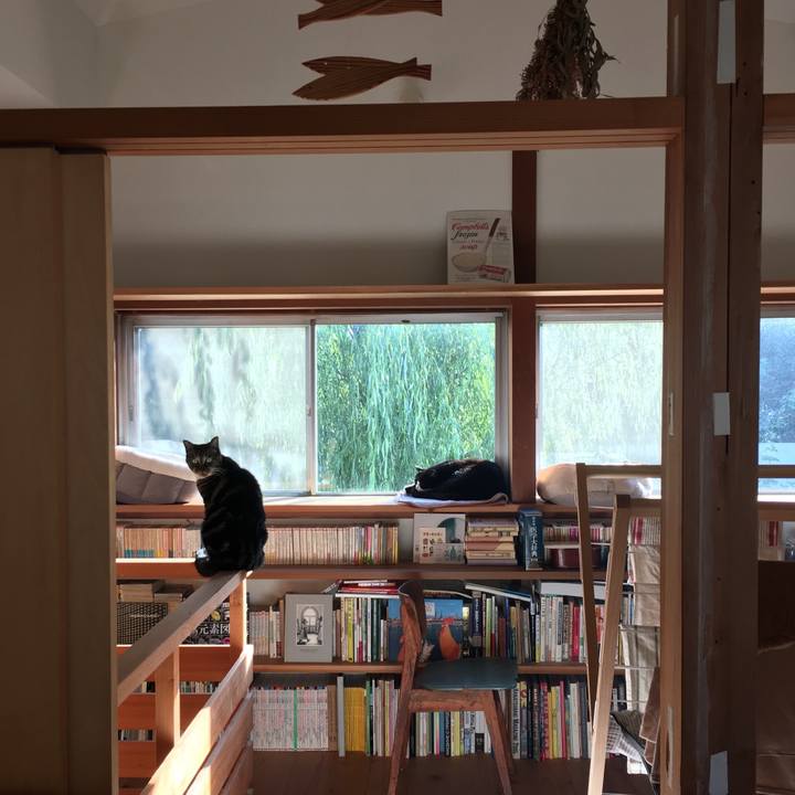 6ceab97b e496 4aa5 9454 81685c8e6082 1572960742587