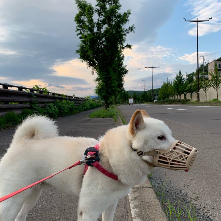 6ceae9be de13 49cf b7b3 9ed394b0e831 1564520546314