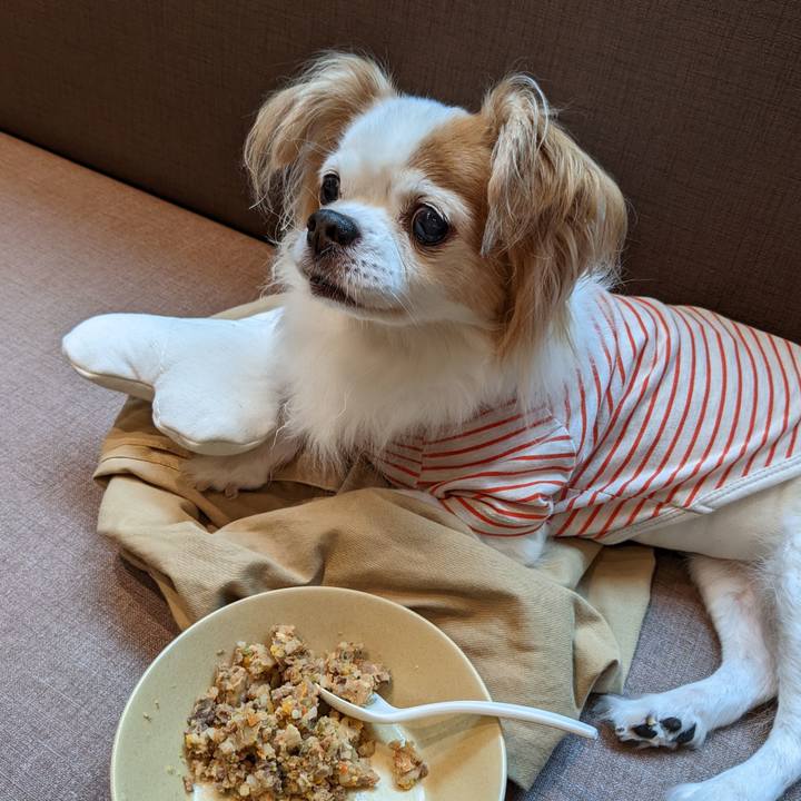 6ceb0ad3 5430 46f1 b0d2 49ae4c6aa031 1663633601544