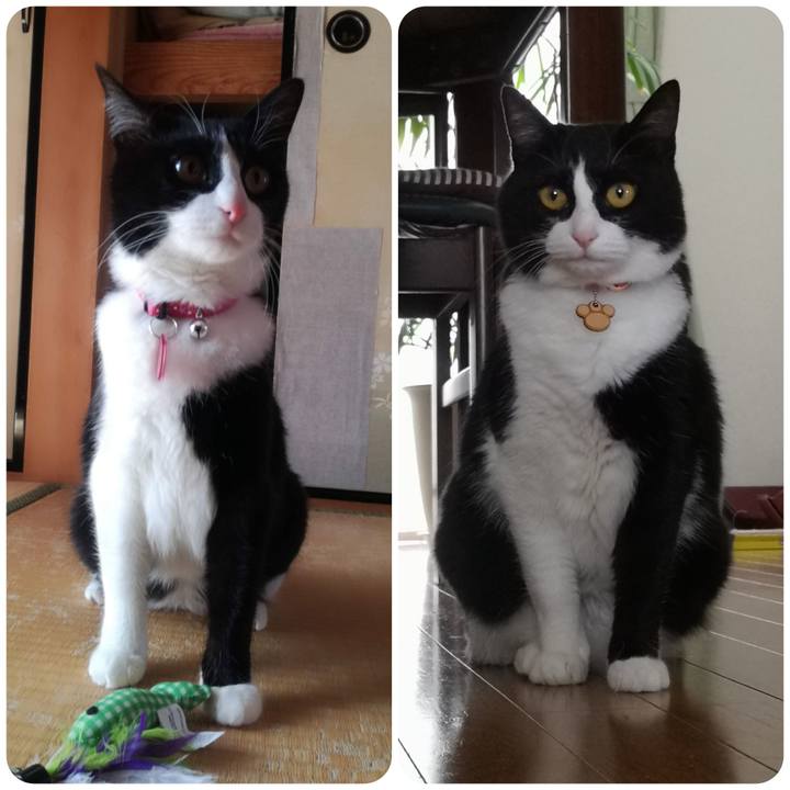 6ceb175f 4cc3 4253 b6e7 2c0a35894b30 1559644469744