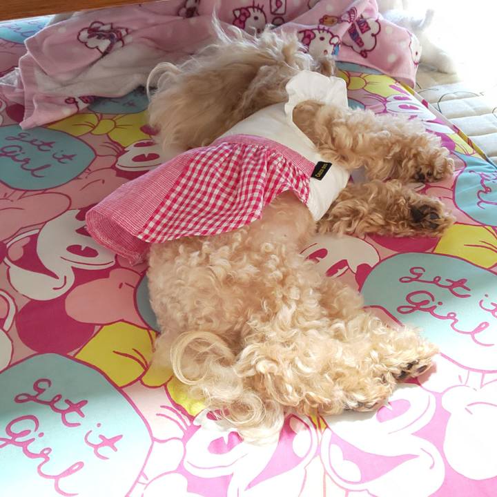 6ceb3a36 e3ac 4c28 a300 c7cd61e0eda5 1569500365208